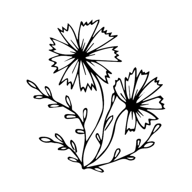 Vetor elemento de doodle de flor botânica desenhado à mão para o conceito de design floral