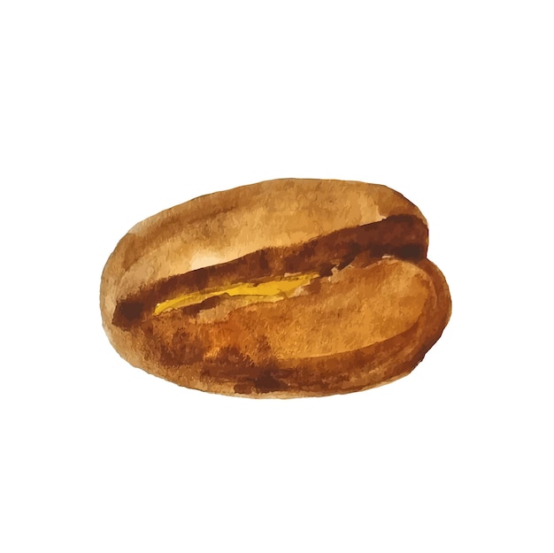 Elemento de grão de café desenhado à mão em aquarela