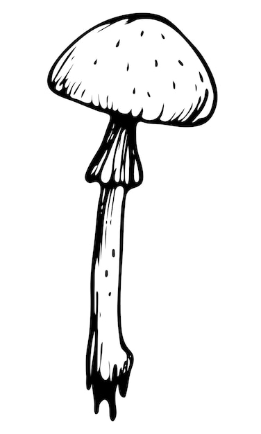 Elemento de vetor isolado desenhado à mão em estilo doodle com cogumelo fofo