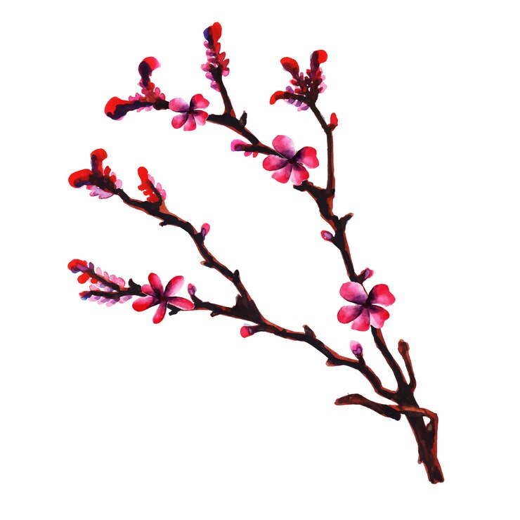 Vetor elemento floral aquarela
