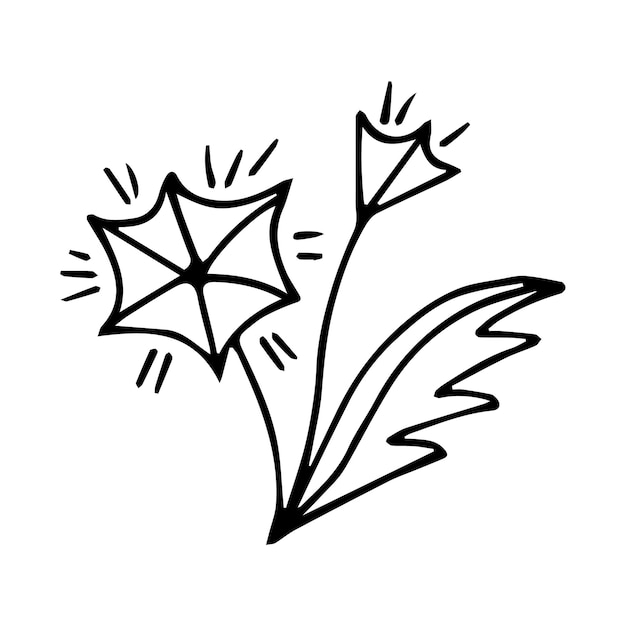 Vetor elemento floral botânico de doodle desenhado à mão para o conceito de design floral