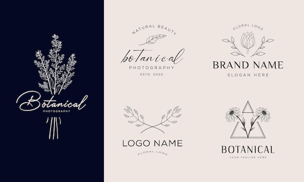 Vetor elemento floral botânico logotipo desenhado à mão com logotipo de folhas de flores silvestres para feminino e cosmético