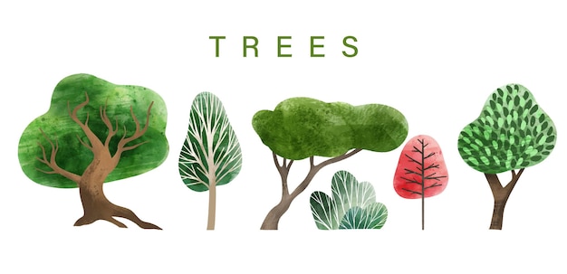 Elementos da floresta em aquarela ilustrações desenhadas à mão