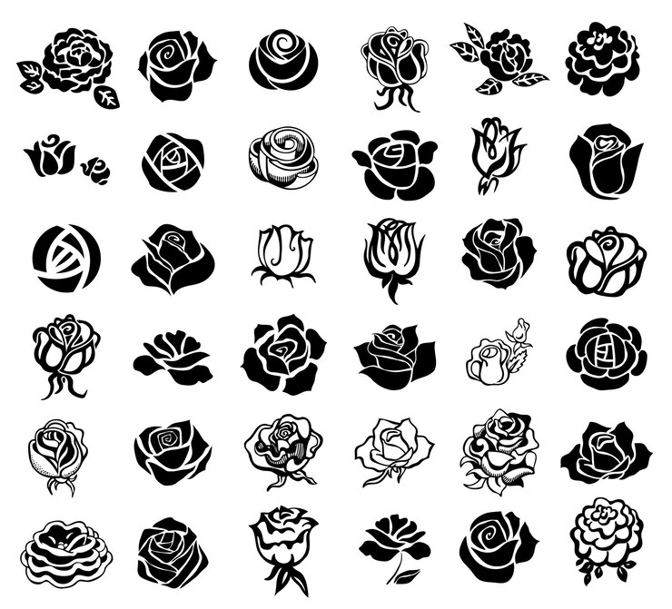 Vetor elementos de design de rosas