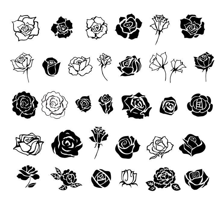 Vetor elementos de design de rosas