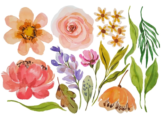 elementos de flores em aquarela