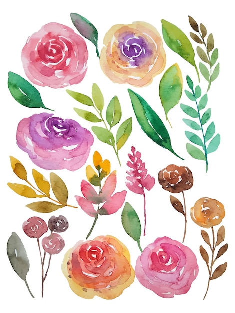 Elementos de flores em aquarela