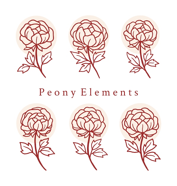 Elementos de logotipo floral de peônia desenhada de mão