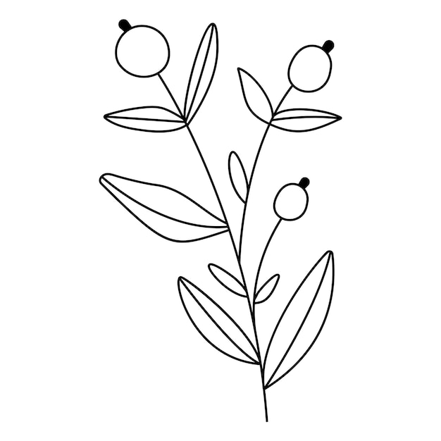 Elementos decorativos desenhados à mão de outono para seu projeto Folhas de elementos florais ilustração vetorial de penas