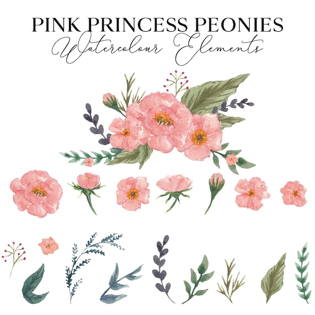 Elementos em aquarela de princesa rosa peônias