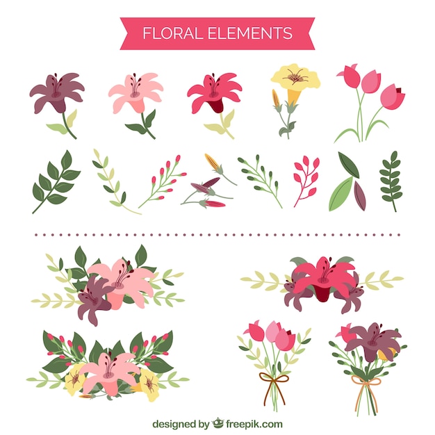 Elementos florais bonitos