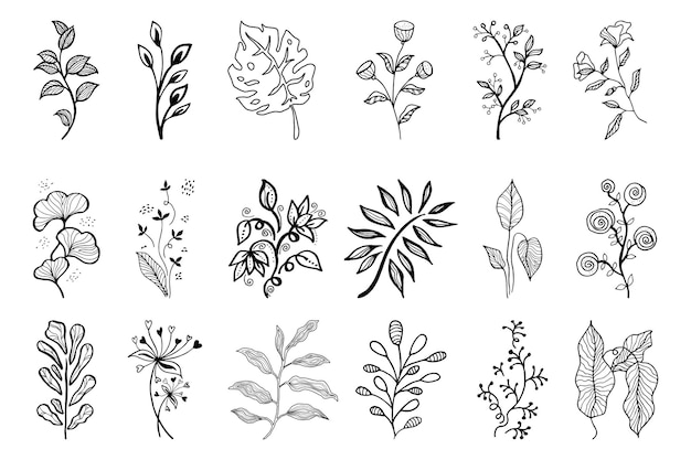 Elementos florais de desenho vetorial desenhado à mão