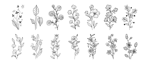 Elementos florais de desenho vetorial desenhados à mão ilustração vetorial