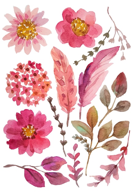 Vetor elementos florais de flores em aquarela desenhadas à mão