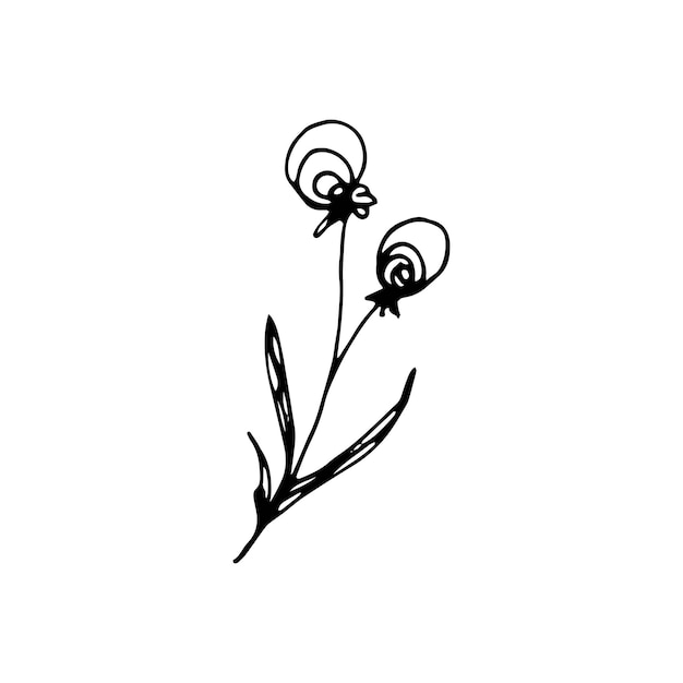 Elementos florais de giro mão única desenhada. ilustração em vetor doodle para design de casamento, logotipo e cartão de felicitações.