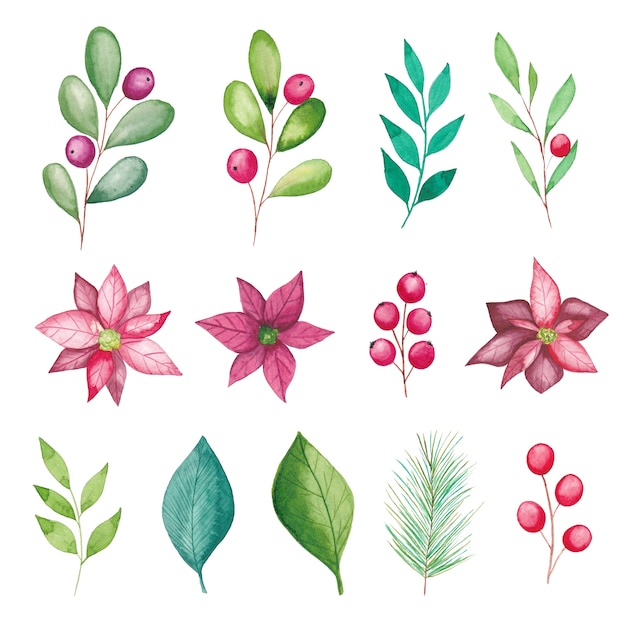 Elementos florais de Natal em aquarela, flores de poinsétia, frutas, folhas, galhos de pinheiros