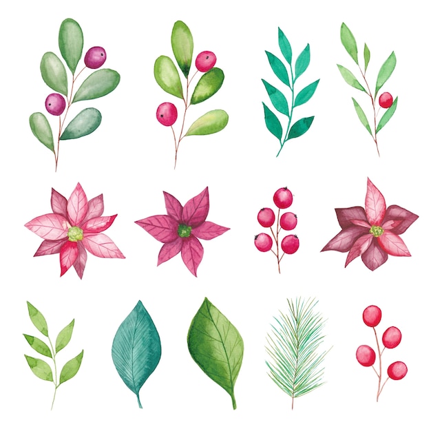 Elementos florais de natal em aquarela, flores de poinsétia, frutas, folhas, galhos de pinheiros