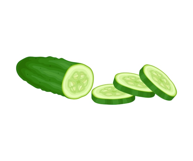 Elementos vetoriais de pepino frescos cortados em fatias Vegetais verdes suculentos Plantas de sementes múltiplas