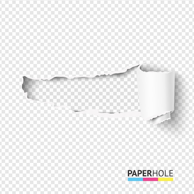 Vetor em branco enrolado rasgo pedaço de papel em um pergaminho com bordas rasgadas