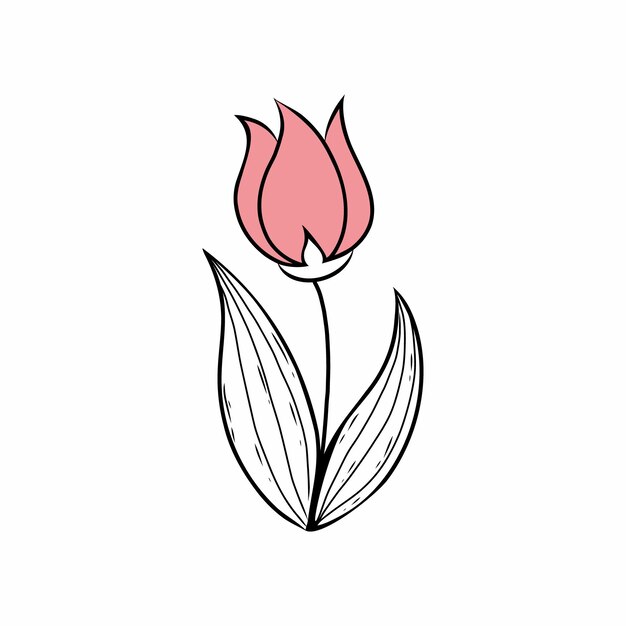 Vetor em um fundo branco ilustração vetorial em estilo de tulipa