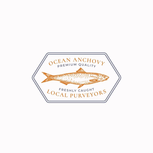 Emblema de esboço de anchova do oceano selvagem desenhado à mão ou modelo de logotipo de moldura vintage de peixe com tipografia retrô
