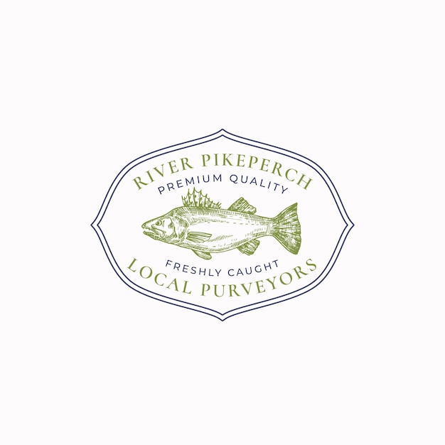 Emblema de esboço de moldura vintage de peixe ou modelo de logotipo desenhado à mão Zander selvagem ou Pikeperch com tipografia retrô