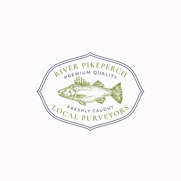 Emblema de esboço de moldura vintage de peixe ou modelo de logotipo desenhado à mão zander selvagem ou pikeperch com tipografia retrô