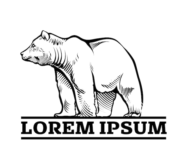 Emblema do logotipo do urso