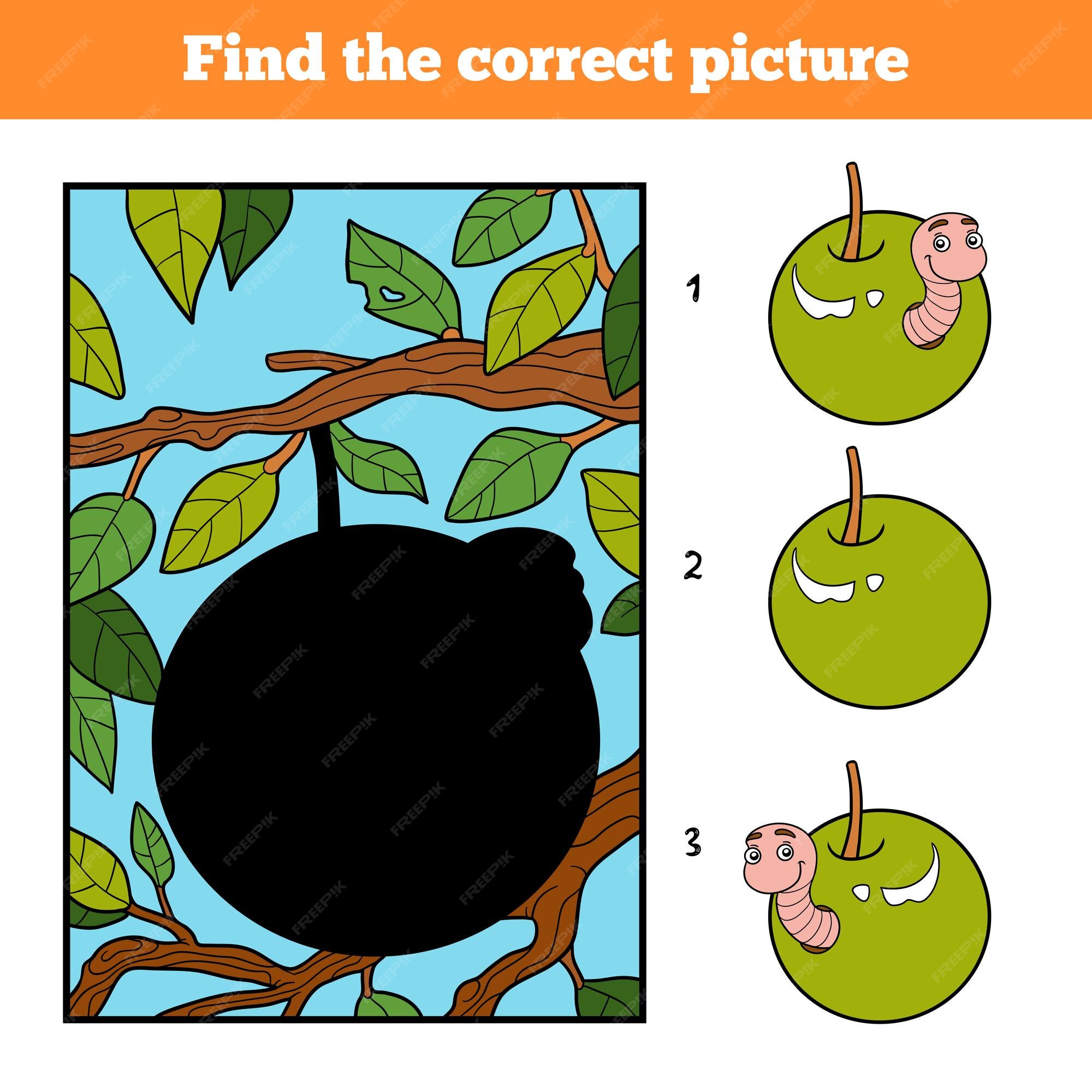 Vetores de Find Two Same Pictures É Um Jogo Educativo Para Crianças Com Maçã  E Lagarta Maçã Bonita Com Livro De Colorir Minhoca e mais imagens de  Afazeres Domésticos - iStock