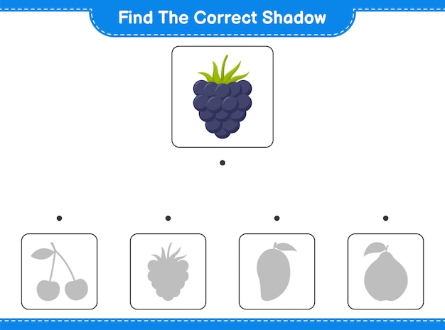 Encontre a sombra correta. encontre e combine a sombra correta de blackberries. jogo educativo para crianças, planilha para impressão