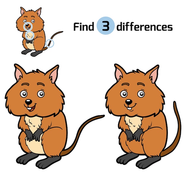 Encontre diferenças, jogo de educação para crianças, Quokka