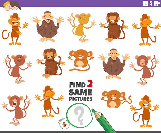 Encontre dois jogos educativos para os mesmos macacos para crianças