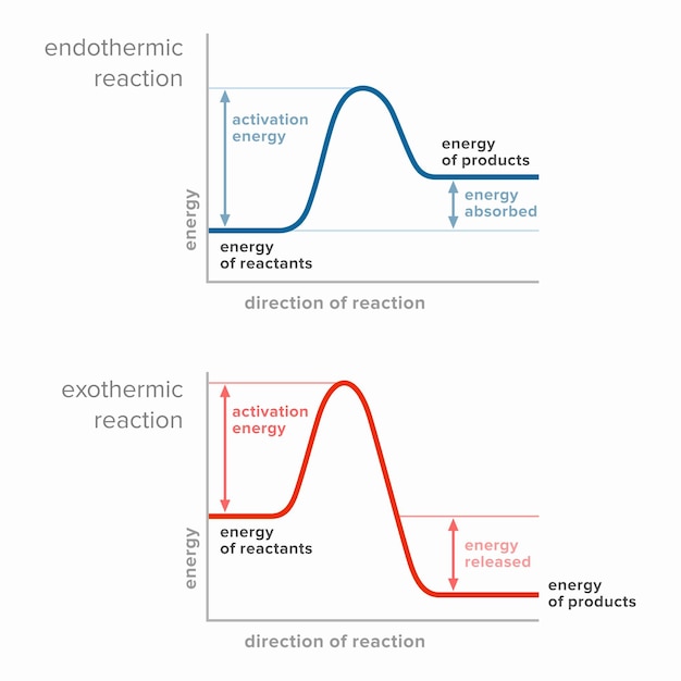 Vetor energia de ativação em reações endotérmicas e exotérmicas