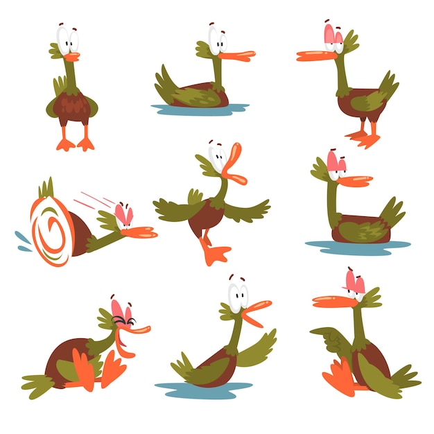 Vetor engraçado macho pato pato conjunto personagem de desenho animado pássaro cômico em diferentes situações ilustração vetorial em fundo branco