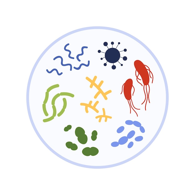 Equipamento de vidro de laboratório de placa de Petri para investigação em microbiologia