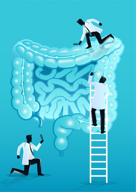 Vetor equipe de médicos diagnosticar intestino humano