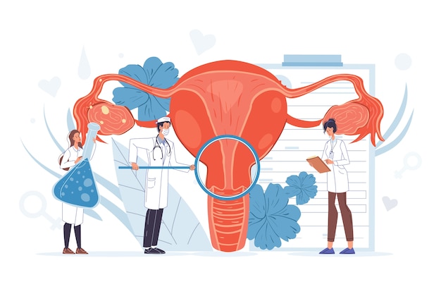 Equipe do médico ginecologista faz exame do útero