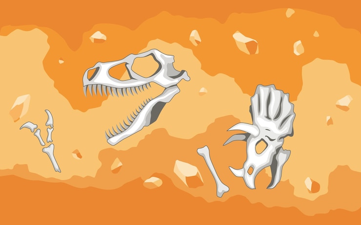 Vetor era da história da terra elementos de dinossauros fósseis para trabalhos de paleontologia e arqueologia cena com vários ossos de animais na camada do solo vector esqueletos de dinossauros antigos enterrados no subsolo