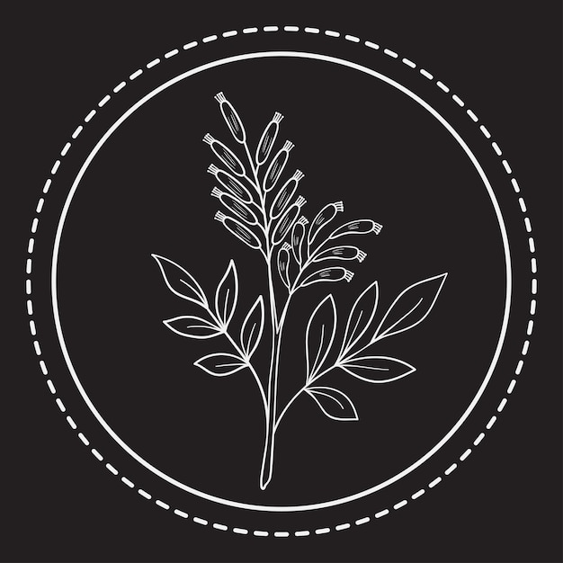 Vetor ervas amargas p 1 logo 1