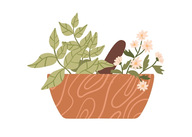 Vetor ervas curativas em almofariz com pilão. plantas de ervas e florais em tigela de madeira para moagem. medicina popular natural orgânica de flor, folha. ilustração em vetor plana isolada no fundo branco.