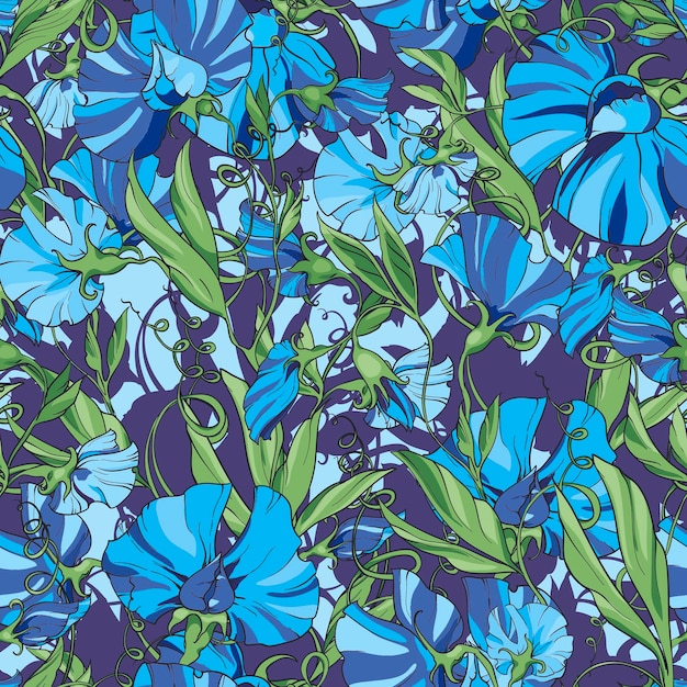 Ervilha doce de flores azuis em um padrão floral sem costura de fundo roxo azul