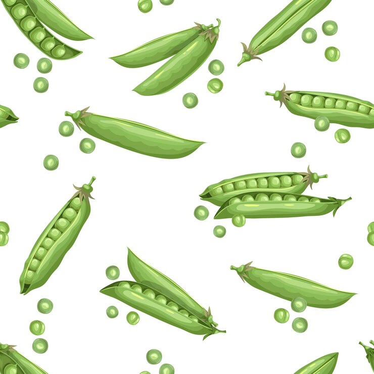 Ervilhas em fundo branco Alimentação saudável Padrão perfeito Vegan e comida saudável Ilustração em vetor
