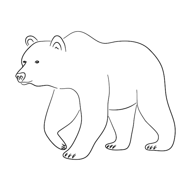 Vetor esboce o desenho de um urso pardo isolado em uma ilustração vetorial de fundo branco