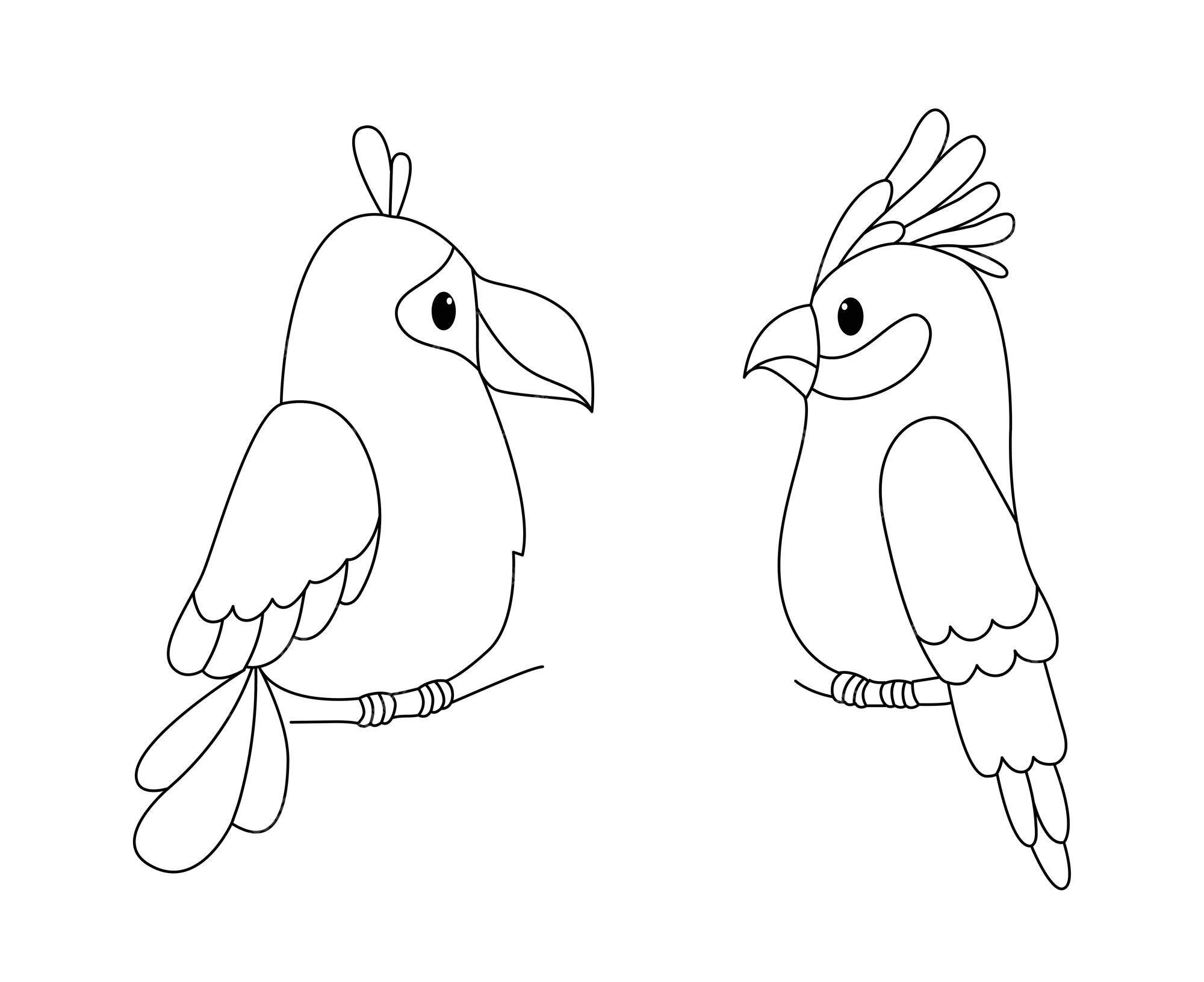 Desenhos para colorir de amor de arara - Desenhos para colorir de arara -  Desenhos para colorir para crianças e adultos