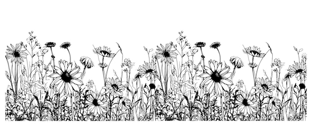 Esboço de borda de flores silvestres desenhado à mão em ilustração estilo doodle