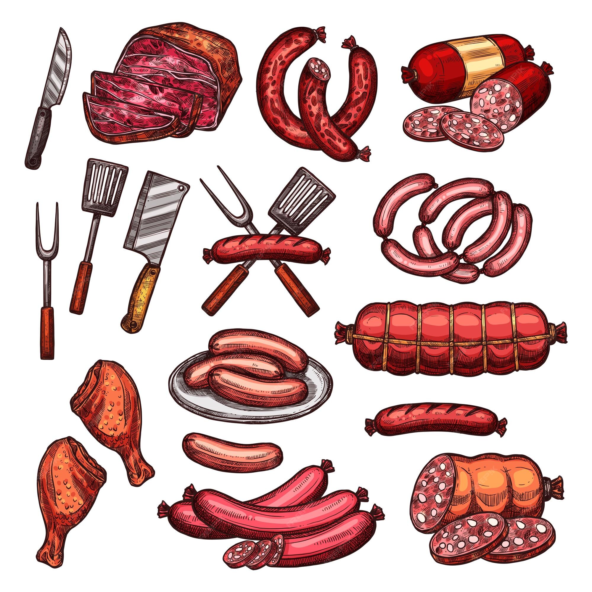 Frescamente Grelhado, Salsicha De Carne Processada De Churrasco, Ilustração  Vetorial Estilo Esboço No Fundo Branco. Desenho Realista Da Mão De Salsicha  Alemã Grelhada, Fritada Em Fogo Aberto, Churrasco, Comida De Piquenique  Royalty