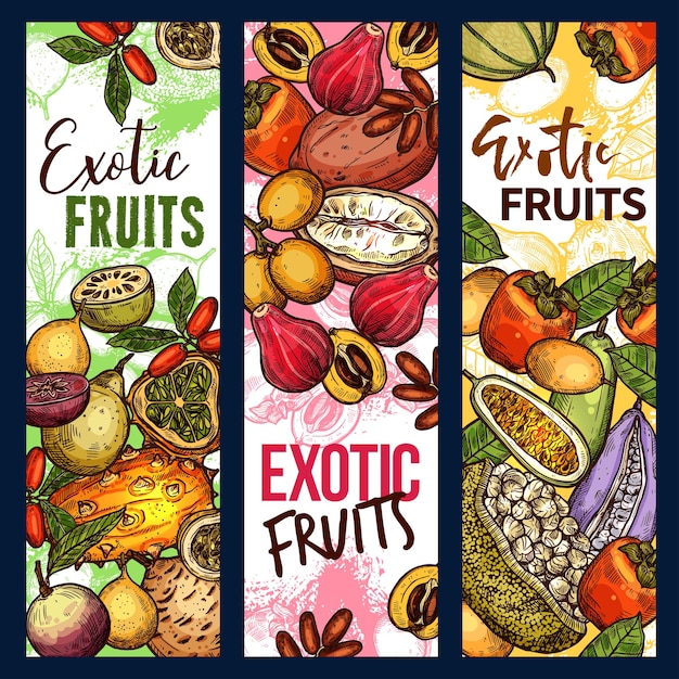 Vetor esboço de colheita orgânica de frutas tropicais exóticas