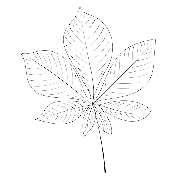 Esboço de contorno de folha de árvore doodle isolado