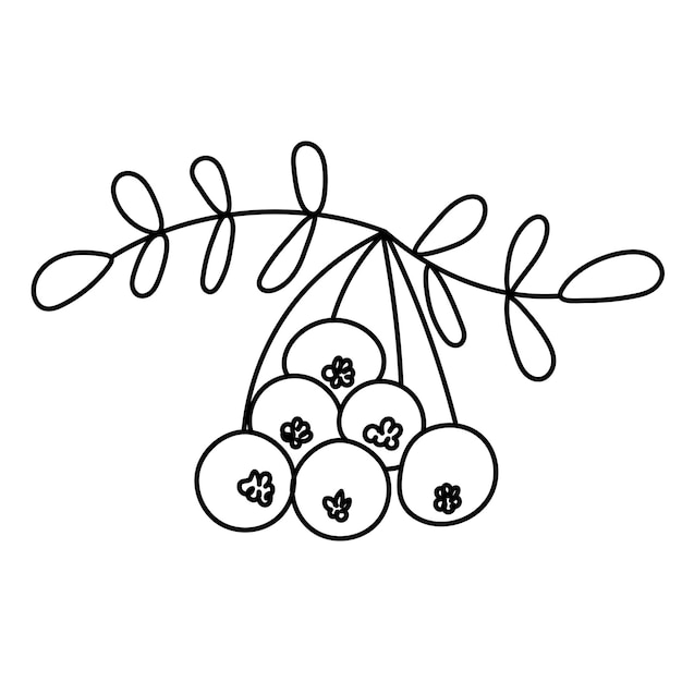 Esboço de esboço de doodle de Rowan no fundo branco