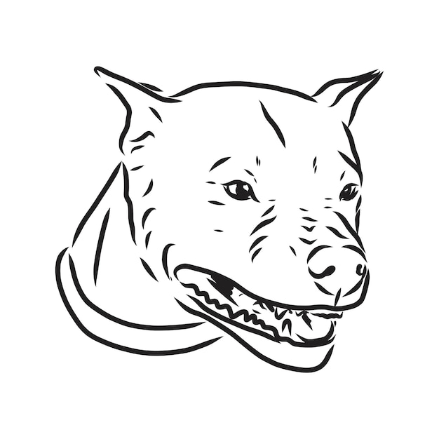 Esboço de ilustração vetorial de cão pit bull terrier